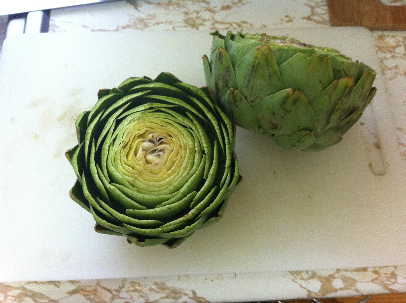 Trimmed artichokes - top and side view