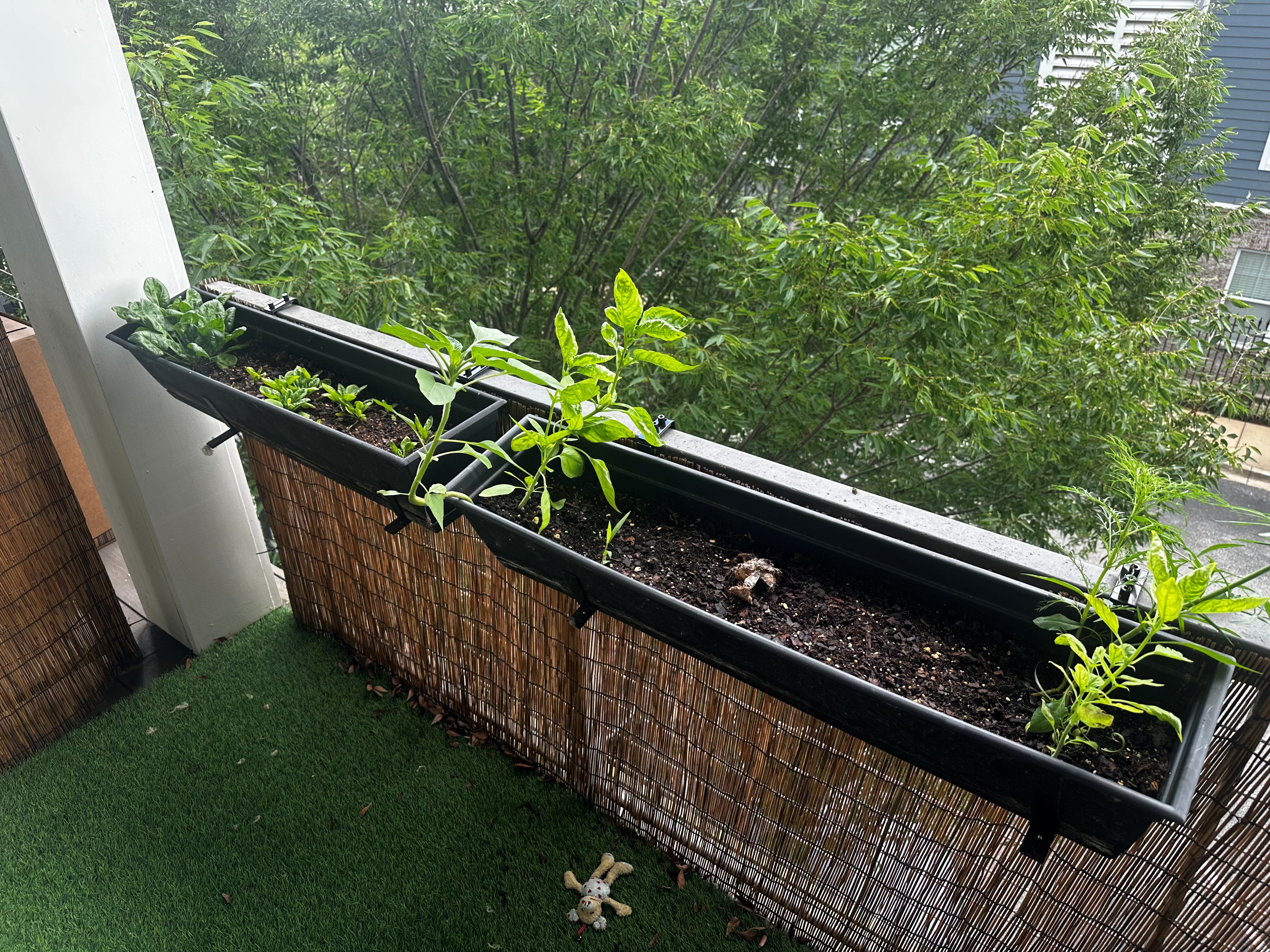 Railing planters on balcony