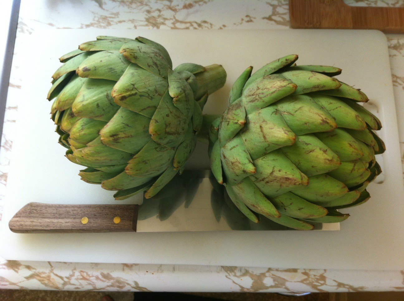 Two medium-sized artichokes